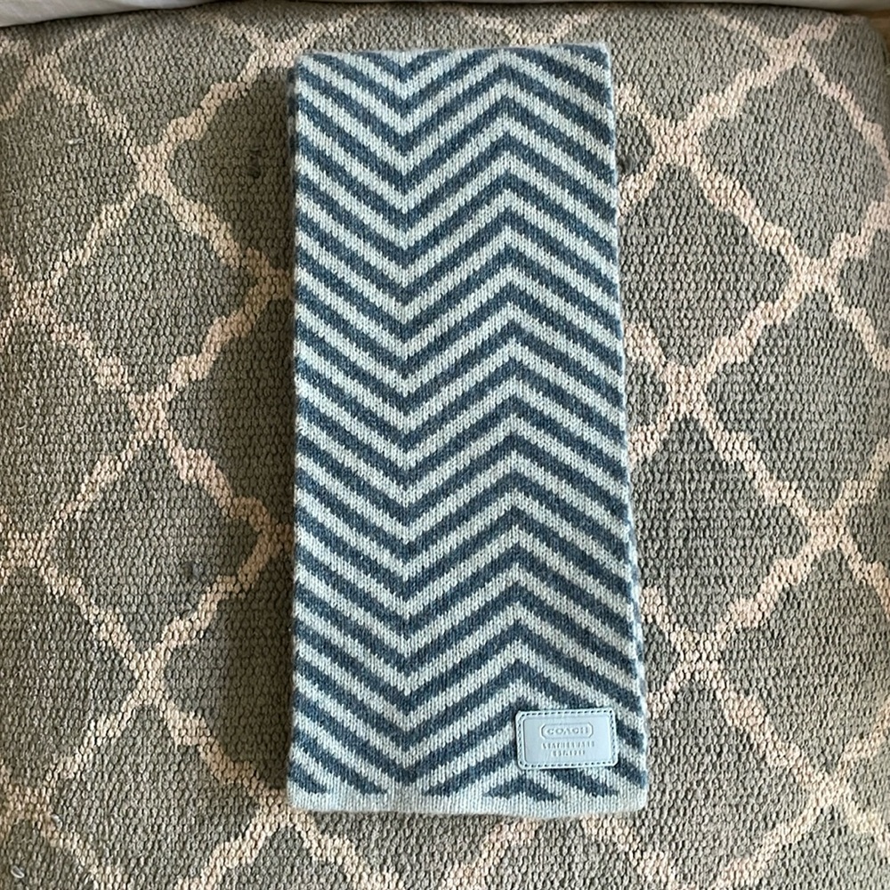 COACH Blue Chevron Scarf